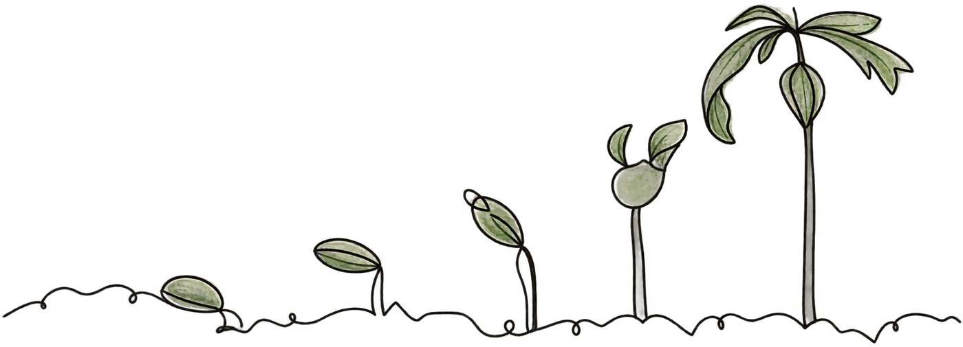 Continuous line drawing of a plant growing from a seed into a leafy stem